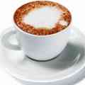 Organic Coffee Suppliers